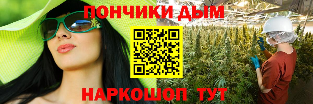 Бошки Шишки сатива Гуково